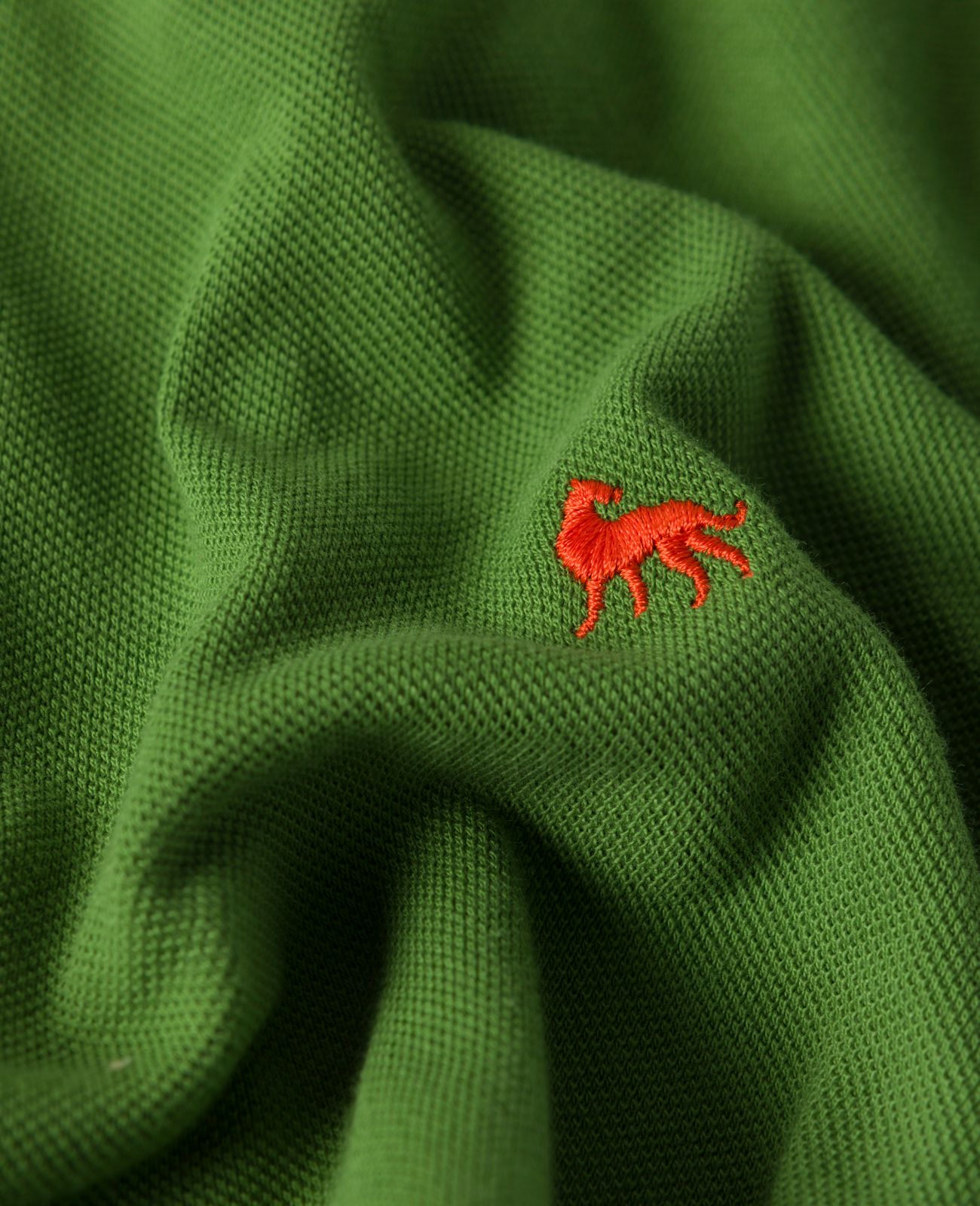 Marfagh Polo-1