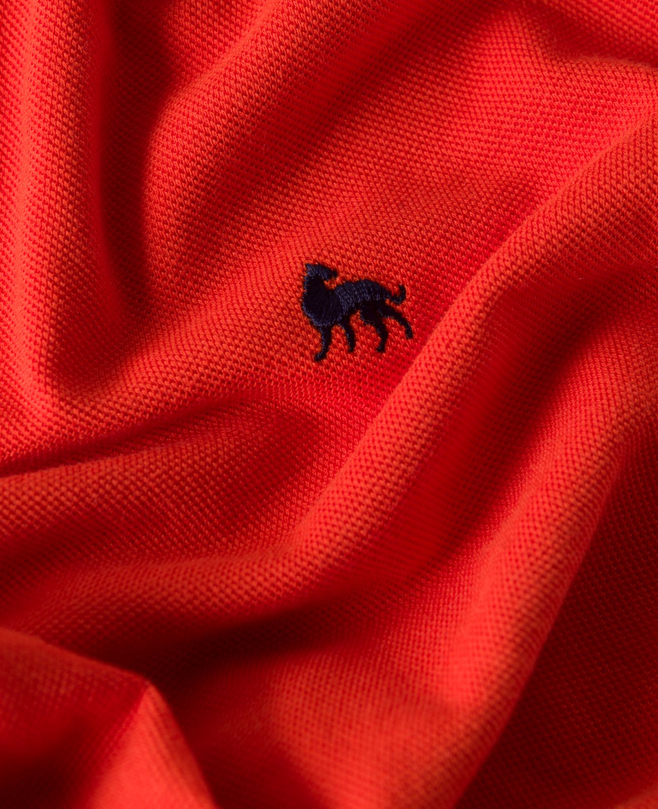 Marfagh Polo-1