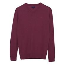 Lunnaigh V Neck