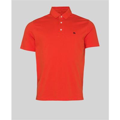 Marfagh Polo