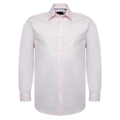 Tailored Dress Collar